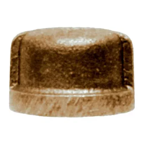 1/2 Bronze Pipe Cap