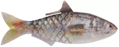 Berkley PowerBait Shad-E Swimbait – 5.3in – HD Gizzard Shad