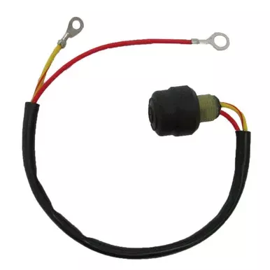 Brp Us Inc Start Switch 583925