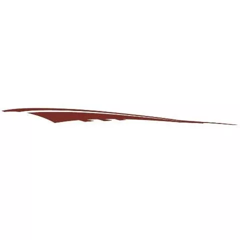 Chaparral Boat Graphic Decal 14.00940 | 264 Sunesta Red (Starboard)