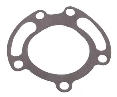 Dometic Gasket- Water Pump Body 118-0386