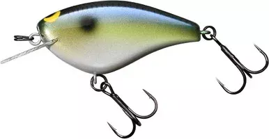 Jackall Bling 55 Flat-Sided Crankbait SK Shad