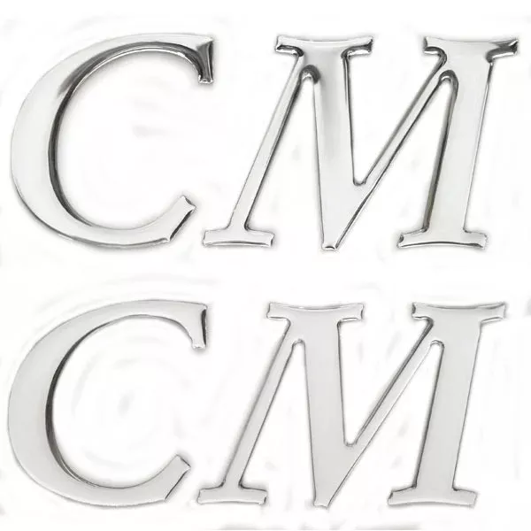Palm Beach Pontoon Boat Raised Decals | CM Silver Stickers (Pair)