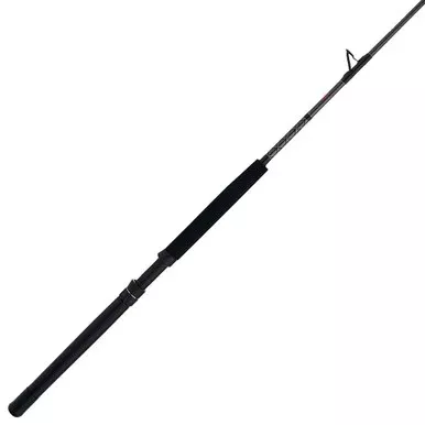 Penn Ally II ALLYBWII2040C60TU Turbo Guide Boat Conventional Rod