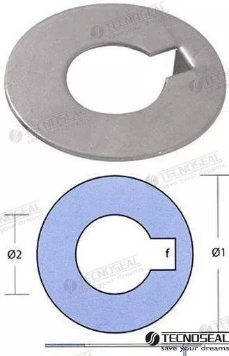 Recambios Marinos Arandela Inox Radice Eje 60 Ten00417R