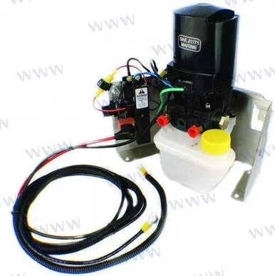 Recambios Marinos Trim Motor W/Bracket Ph200-T016-Sk
