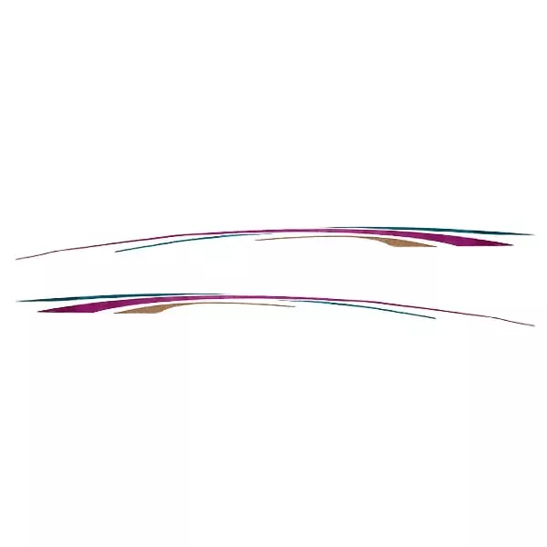 Rinker Boat Decal 218340 | Aqua Gold Magenta 106 1/2 Inch (Set of 2)