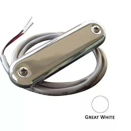 Shadow-Caster Courtesy Light w/2′ Lead Wire – 316 SS Cover – Great White – 4-Pack[SCM-CL-GW-SS-4PACK]