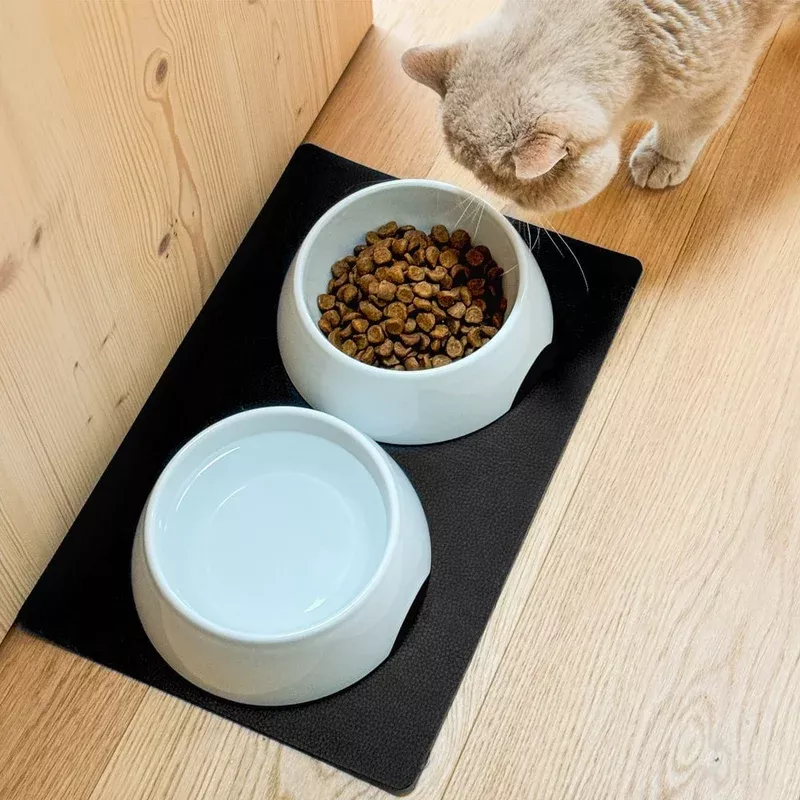 silwy Magnetic Porcelain Pet Feeding Bowls w/ Mat