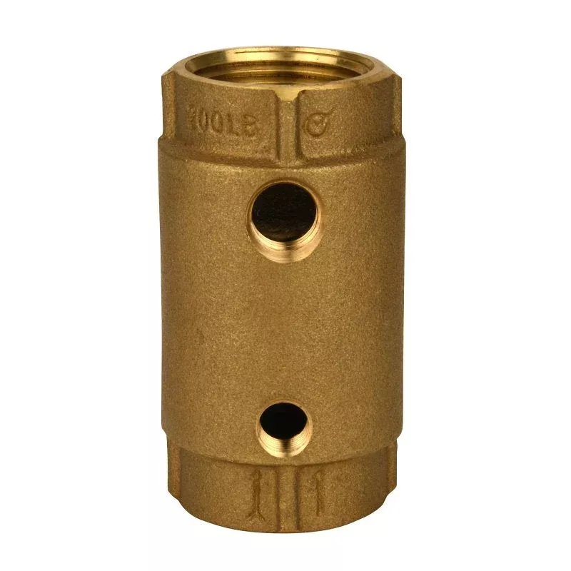 Water Source CCC-100NL Check Valve, 1 in, Brass Body