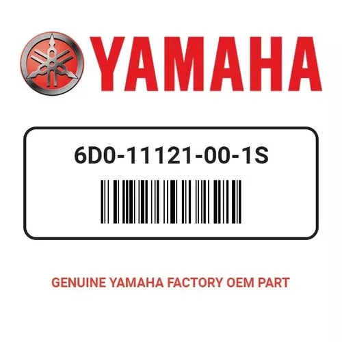 Yamaha 6D0-11121-00-1S Head Cylinder 2